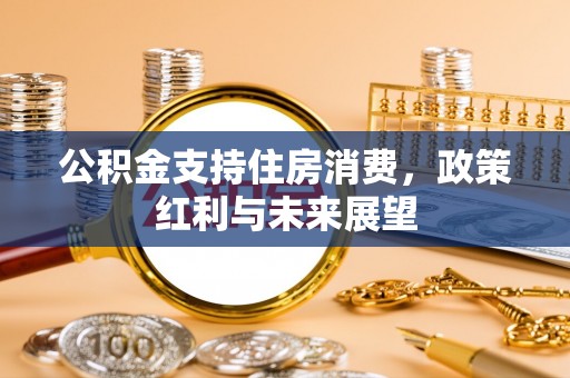山丹公积金支持住房消费，政策红利与未来展望