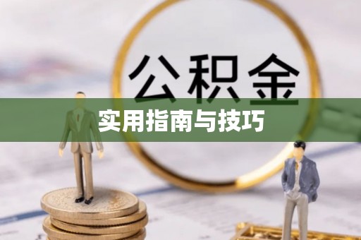 山丹实用指南与技巧