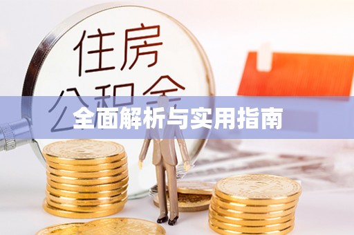 山丹全面解析与实用指南