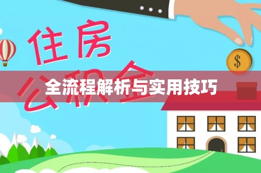 山丹全流程解析与实用技巧