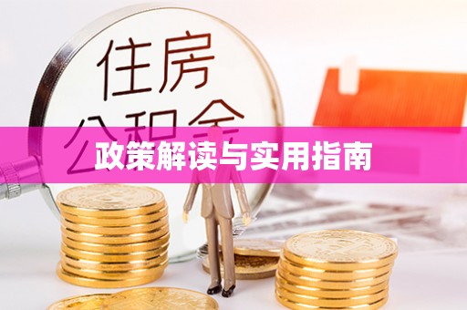 山丹政策解读与实用指南