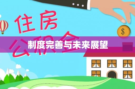 山丹制度完善与未来展望