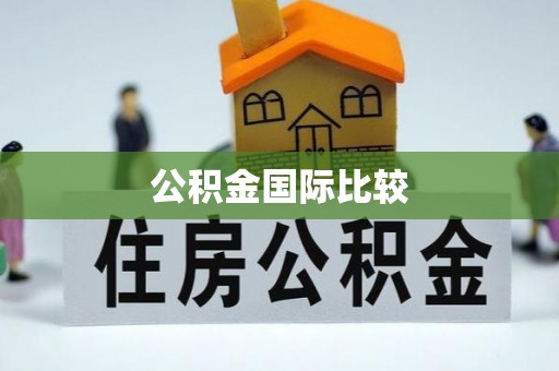 山丹公积金国际比较