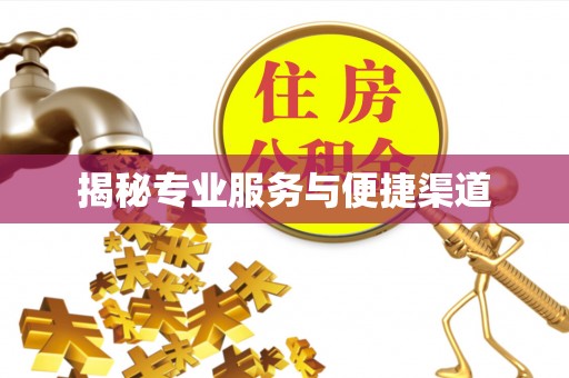 山丹揭秘专业服务与便捷渠道