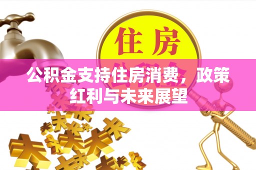 山丹公积金支持住房消费，政策红利与未来展望