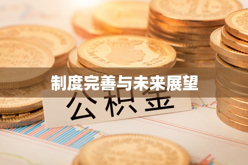 山丹制度完善与未来展望