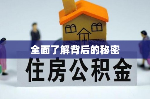 山丹全面了解背后的秘密