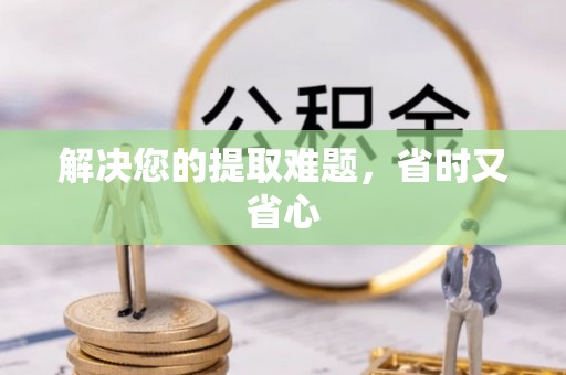 山丹解决您的提取难题，省时又省心