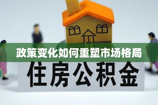 山丹政策变化如何重塑市场格局