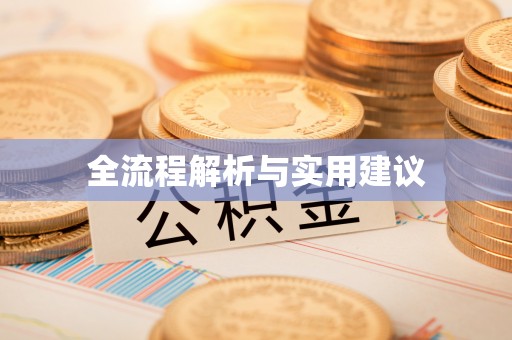 山丹全流程解析与实用建议