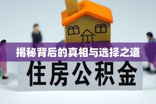 山丹揭秘背后的真相与选择之道