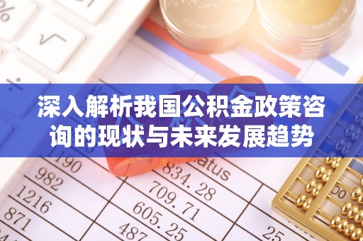 山丹深入解析我国公积金政策咨询的现状与未来发展趋势