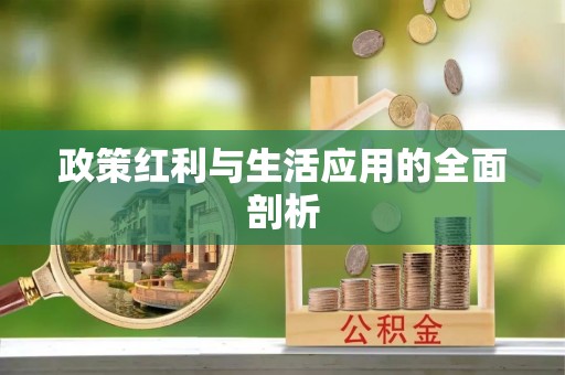 山丹政策红利与生活应用的全面剖析