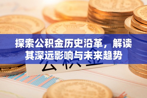 山丹探索公积金历史沿革，解读其深远影响与未来趋势