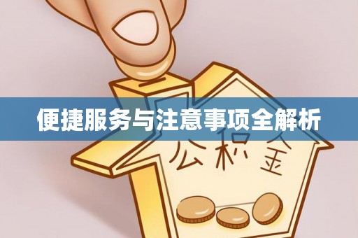 山丹便捷服务与注意事项全解析