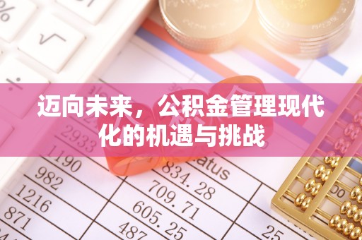 山丹迈向未来，公积金管理现代化的机遇与挑战