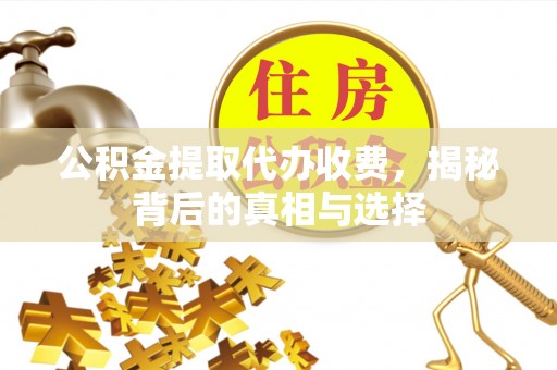 山丹公积金提取代办收费，揭秘背后的真相与选择