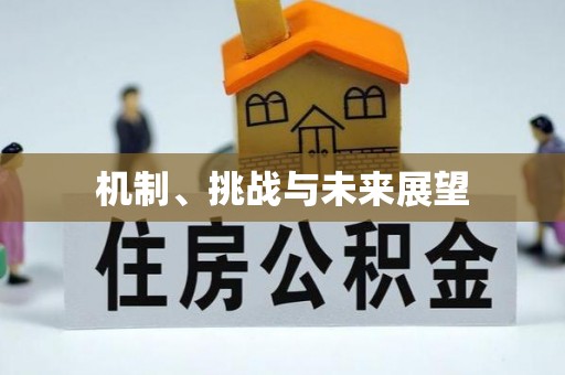 山丹机制、挑战与未来展望